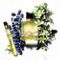 Yves Saint Laurent Libre Eau de Parfum 2 pc. Set - Image 2 of 2